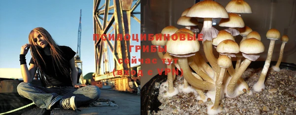 Альфа ПВП Балабаново